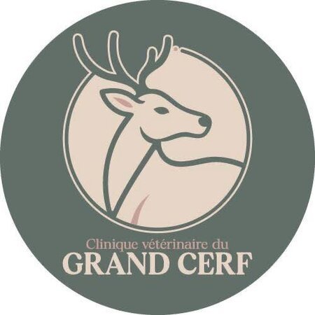 CLINIQUE VETERINAIRE DU GRAND CERF, Établissement vétérinaire à Vigy