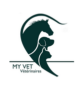 CABINET VETERINAIRE DE BERGUES, Établissement vétérinaire à Bergues