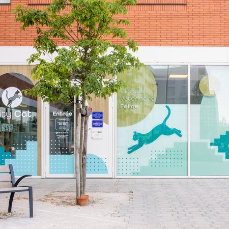 CLINIQUE VETERINAIRE CITYCAT MALEPERE, Établissement vétérinaire à Toulouse 31400