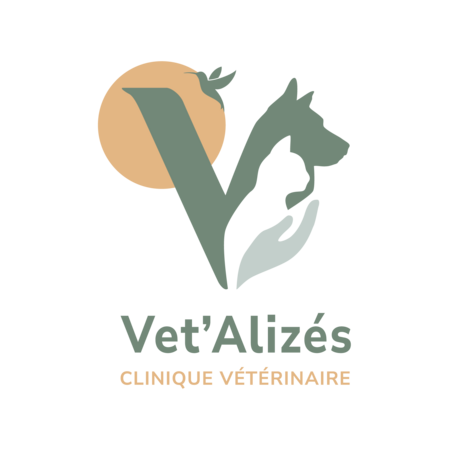Vet'Alizés-Clinique vétérinaire à Cluny, Établissement vétérinaire à Fort-de-France