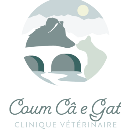 CLINIQUE VETERINAIRE COUM CÂ E GAT, Établissement vétérinaire à Navarrenx