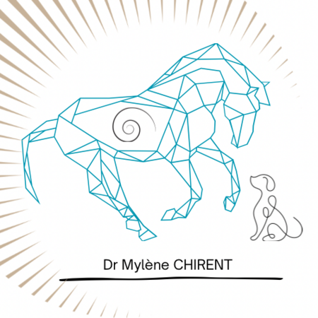 Dr Mylène Chirent Vétérinaire Ostéopathe à domicile, Établissement vétérinaire à Bellevigne-en-Layon
