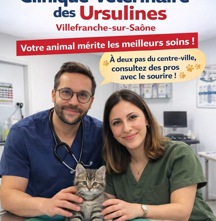 CLINIQUE VETERINAIRE DES URSULINES - VILLEFRANCHE, Établissement vétérinaire à Villefranche-sur-Saône