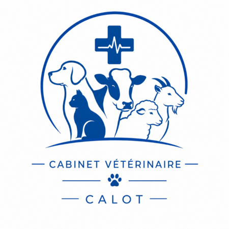 CABINET VETERINAIRE CALOT, Établissement vétérinaire à L'Isle-en-Dodon