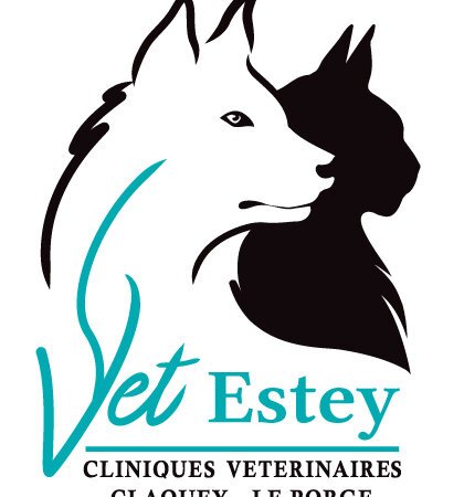 Clinique Vétérinaire Vet'Estey du Porge, Établissement vétérinaire à Le Porge