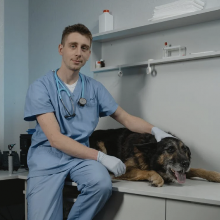 Dr Nicolas Test