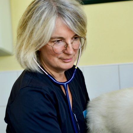 Dr Anne DALLOT