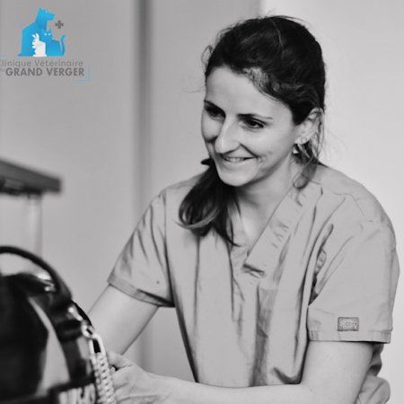Dr Elise Krier