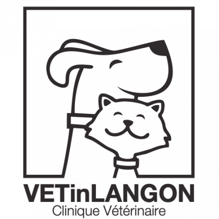 Dr Virginia ANTUNES