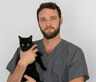 Dr Dr Vétérinaire