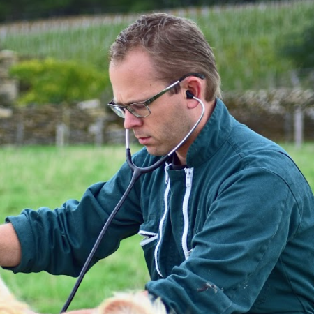 Dr Jeroen VAN MAELE