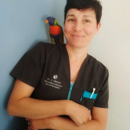 Dr Adeline LINSART