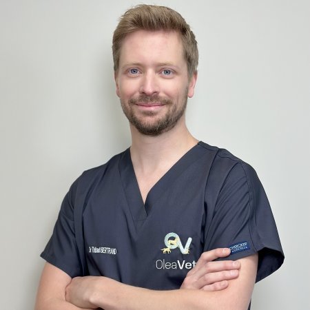 Dr Thibault BERTRAND