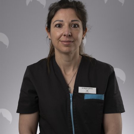Dr Ludivine VELAY