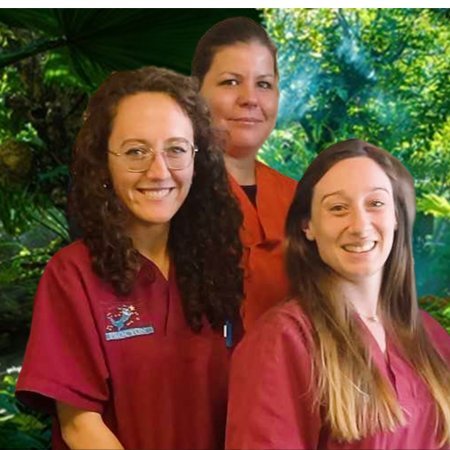 Dr Auxiliaire VETERINAIRE