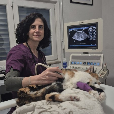 Dr Carmen MORENO