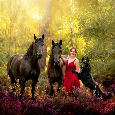 Dr Charline LE FLOC'H ASV