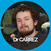 Dr Florian CARREZ