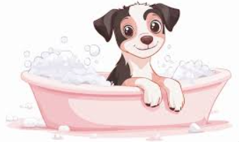 Dr Dog WASH