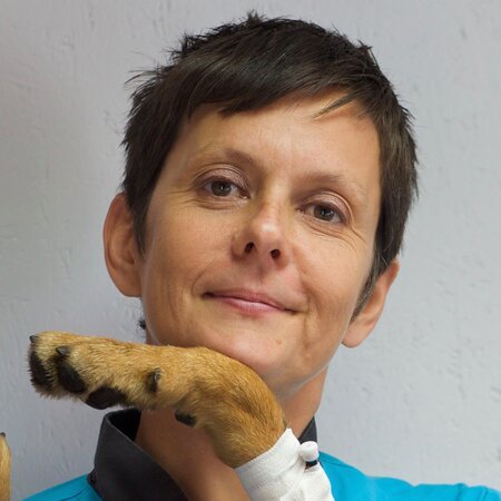 Dr Karine TEPPE
