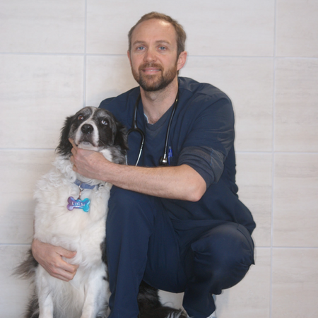 Dr Mickael BOUCQUELET