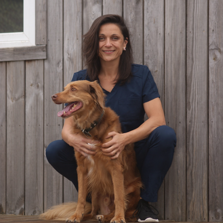 Dr Céline GRZELCZYK