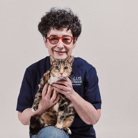 Dr Annie SEZNEC - chat
