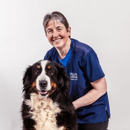 Dr Nathalie LOBRY - chien / NAC
