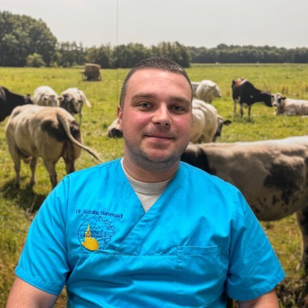 Dr Antoine HAMMOUDI