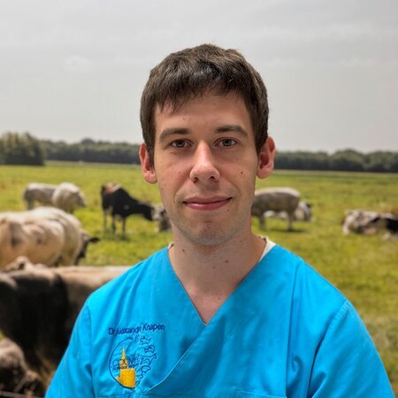 Alexandre KNAPEN